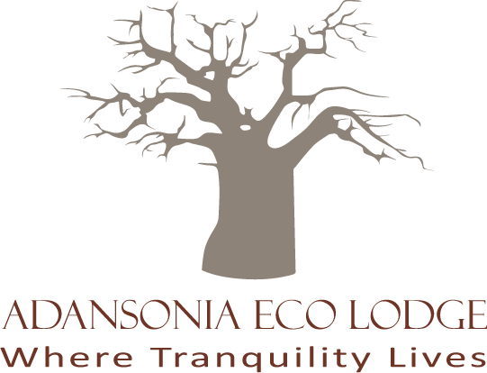 Adansonia Eco Lodge