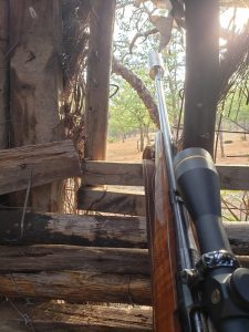 Hunting, Adansonia Eco Lodge